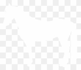 Horse Shows - Jackson Hole Therapeutic Riding Animal Figure png