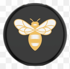 Popgrip Lips X Burtu0027s Bees Logo Popsockets - Popgrip Balm Burts png