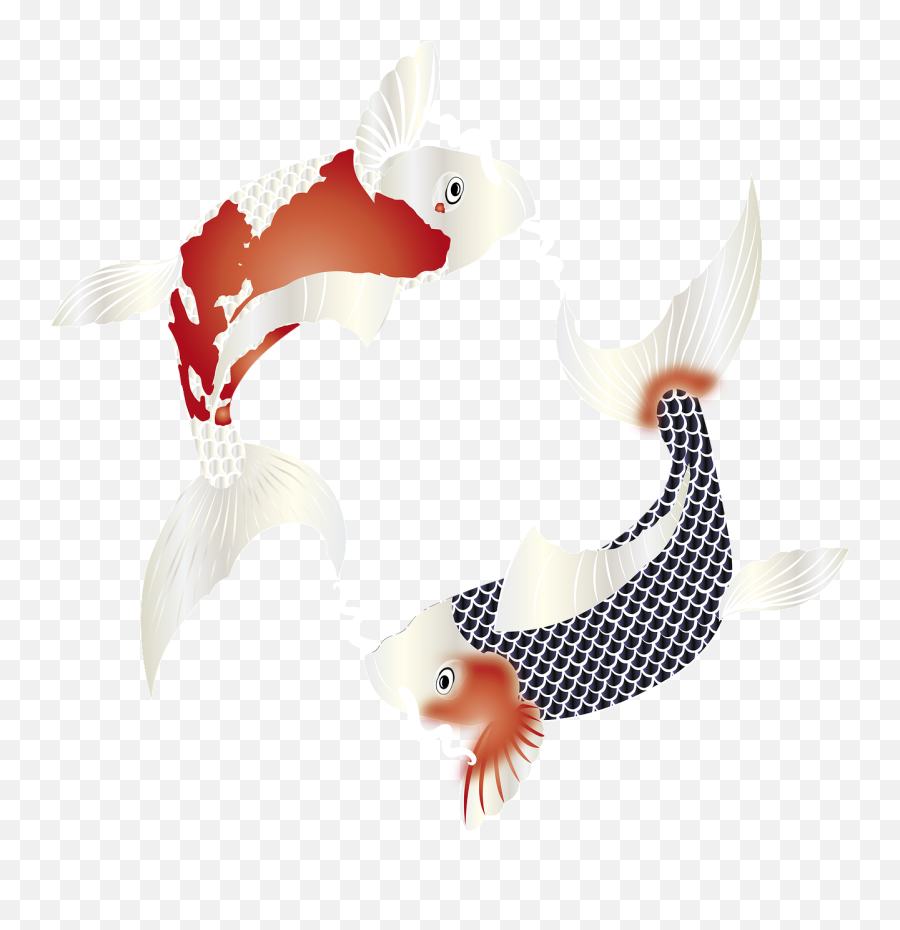 Fish Carp Koi - Free Image On Pixabay Aquarium Fish Png,Zen Icon