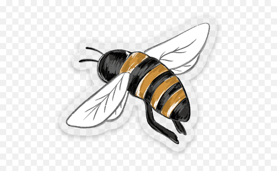 Clear Honey Bee Sticker 2x2 In U2013 Elyse Breanne Design - Parasitism Png,Honeybee Icon