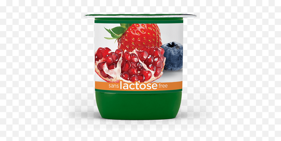 Activia Lactose Free U2013 Pomegranate - Berry Probiotic Yogurt Png,Pomegranate Transparent