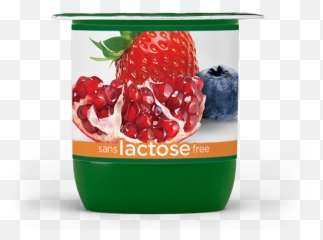Activia Lactose Free U2013 Pomegranate - Berry Probiotic Yogurt Png,Pomegranate Transparent