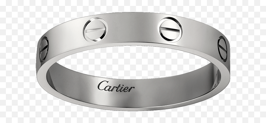 Ring 43 2022 - Cartier Heren Armband Png,Gucci Icon Stardust Ring