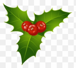 Christmas Mistletoe Png Clipart Gal 810998 - Png Images Christmas Mistletoe Clipart,Missle Png