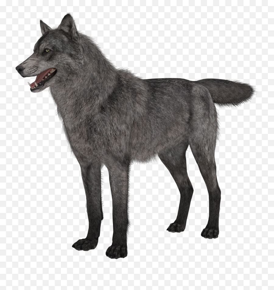 Wolves Clipart Transparent Background - Call Of Duty Ghosts Wolves Png,Howling Wolf Png