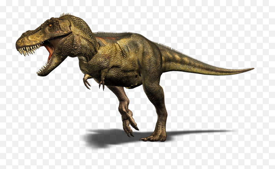 Tiranosaurio Rex Png 3 Image - Dinosaur Png,Tyrannosaurus Rex Png