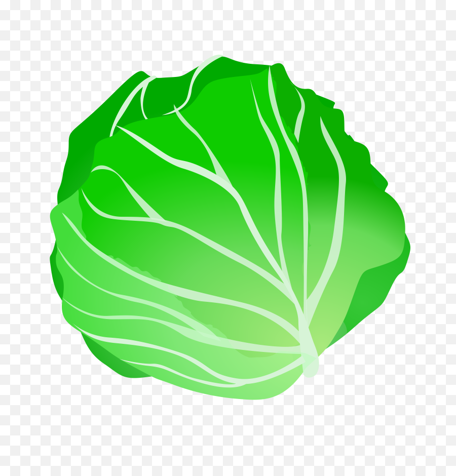 Cabbage Clip Art Png - Cabbage Clip Art,Cabbage Png