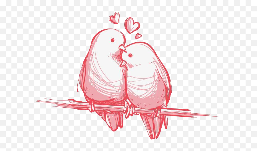 Love Birds Png Clipart Background - Clipart Love Birds Png,Love Clipart Png