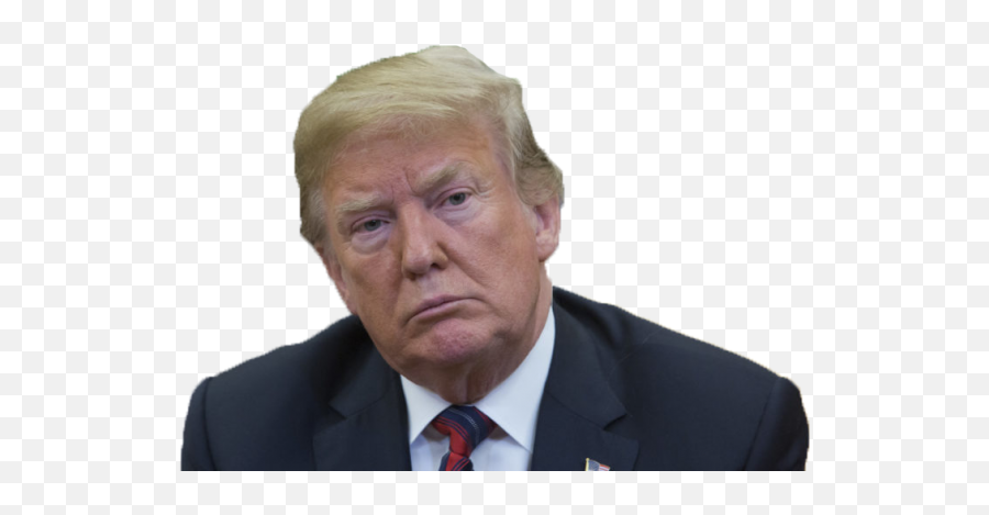 Tags - Trump On Dog Png,Melania Trump Png Tags - Trump On Dog Png,Melania Trump Png