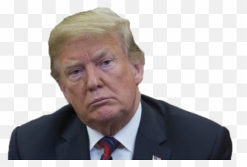 Tags - Trump On Dog png