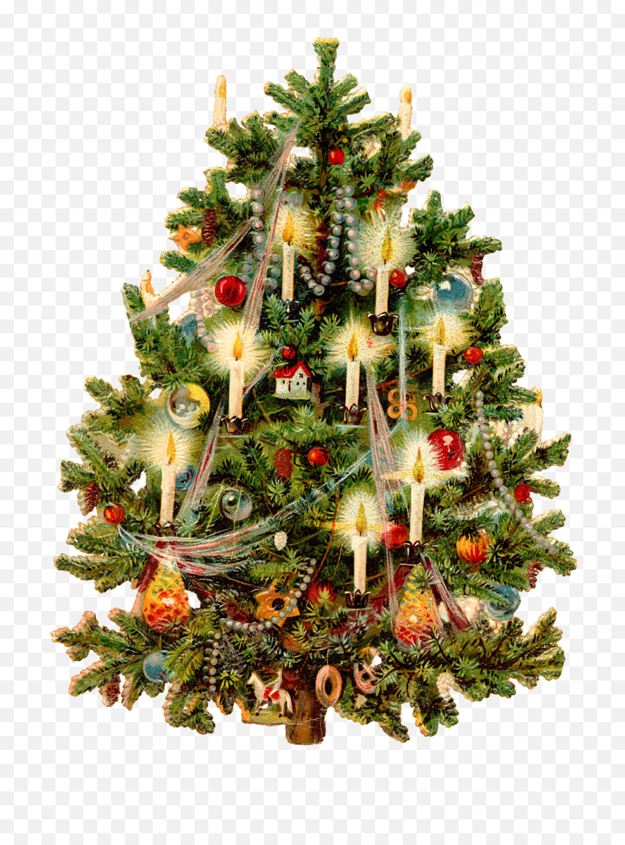 Victorian Christmas Tree - Old Fashioned Christmas Tree Clip Art Png,Christmas Tree Transparent Background