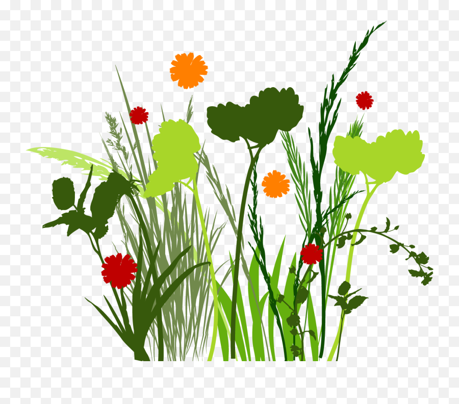 Tall Grass Png - Grass Clipart High Re Free Collection Meadows Graphics,Tall Grass Png