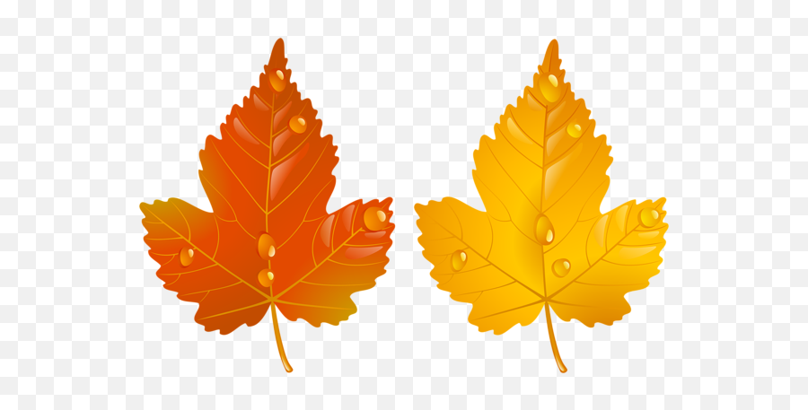 The Fall Png U0026 Free Fallpng Transparent Images 61900 - Two Autumn Leaves,Fall Png