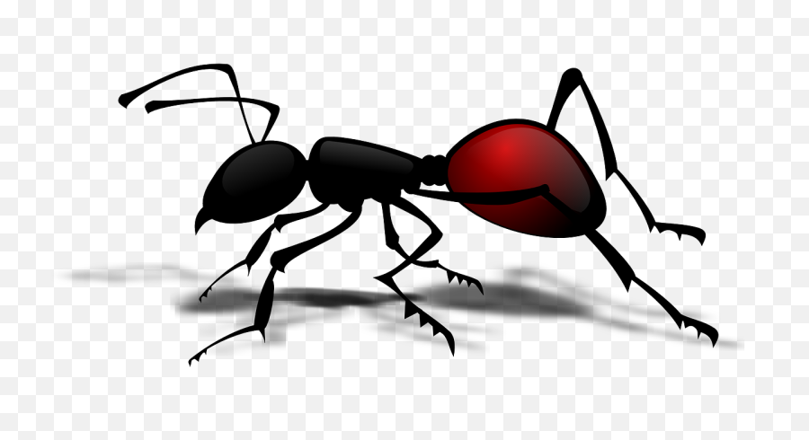 Ants Png Clipart Transparent Image - Transparent Ant Vector,Ants Png