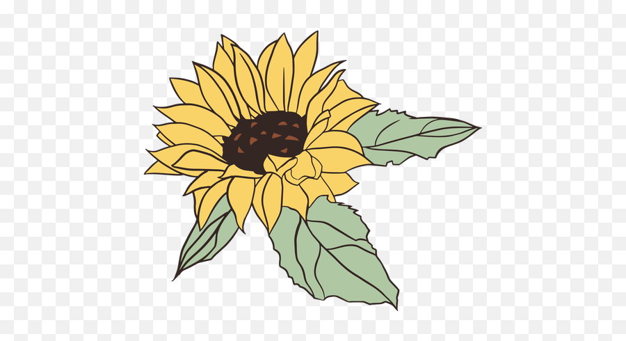 Pretty Hand Drawn Sunflower - Transparent Png U0026 Svg Vector File Bonitas De Girasoles Png,Sunflower Png Transparent