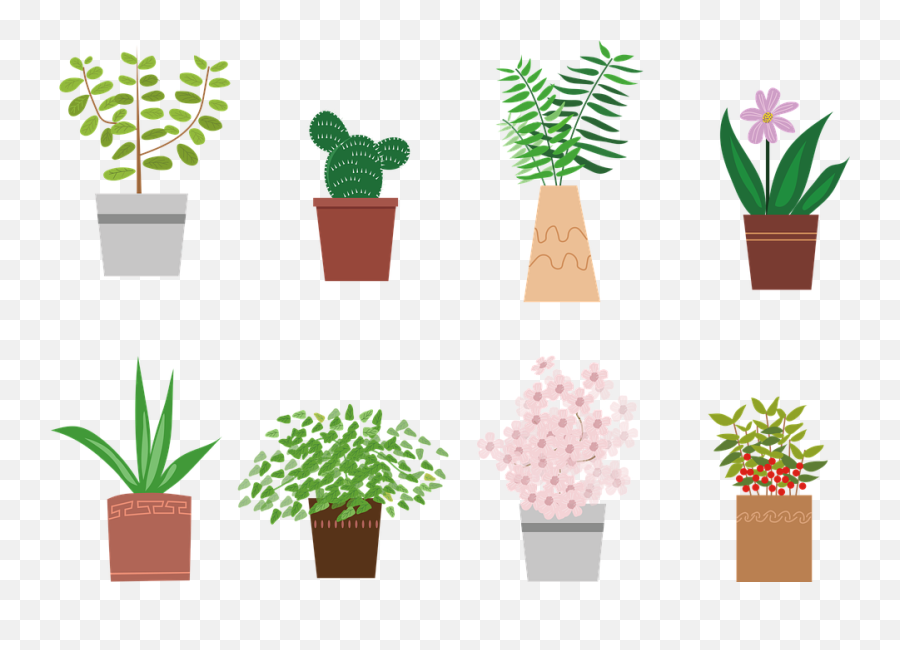 Potted Plant Flowers Plants - Plants Png,Plant Vector Png