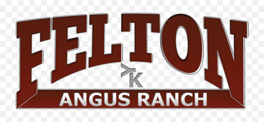 2020 Grass Time Bulls U2014 Felton Angus Ranch - Language Png,Bulls Logo Png