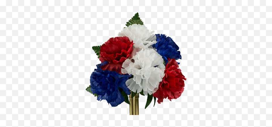 Red White And Blue Carnation Ni2195 - Lovely Png,Carnation Png