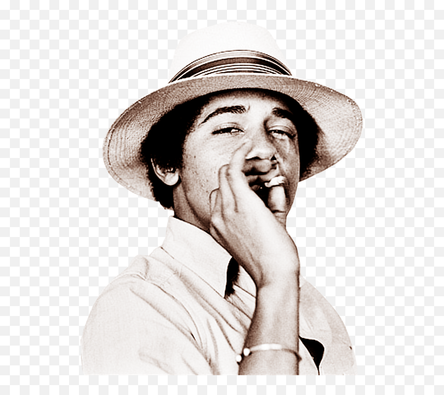 Barack Obama Smoking Weed Throw Pillow By Amy90 985450037893 Png