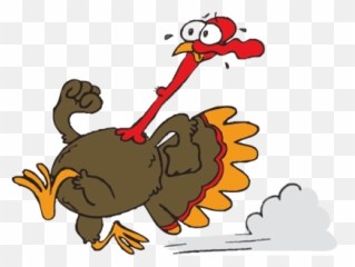 Running Turkey Vector - Clipart png