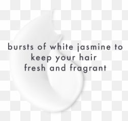 Light Hold U0026 Frizz Control Hair Spray Love Beauty And Planet Png