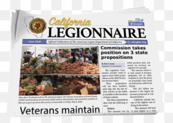 Official Newsletter Of The American Legion Department - Superfood png