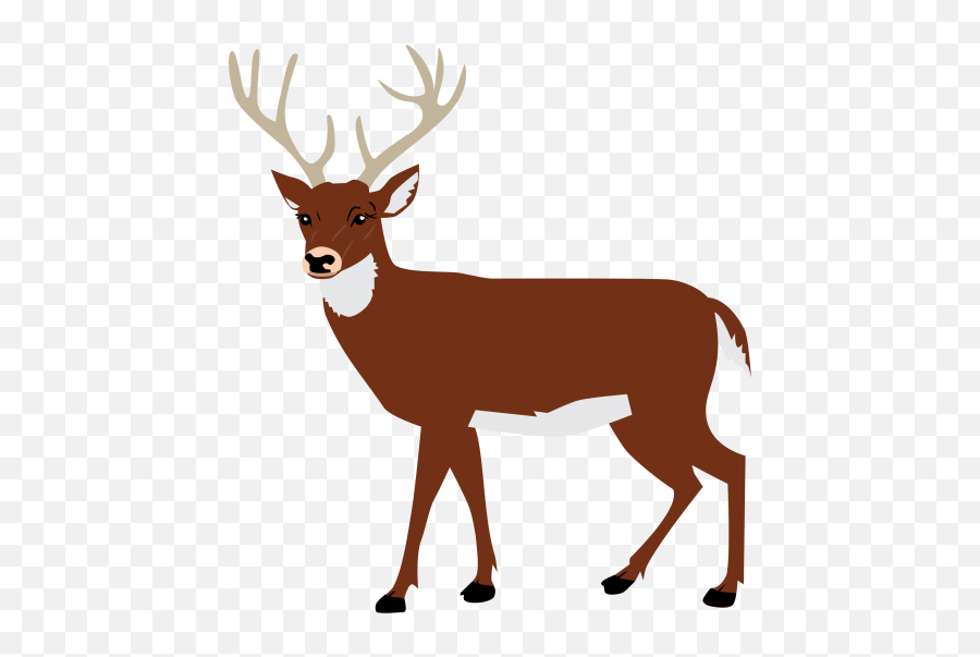 Download Free Png Moose Images Transparent - Deer Svg Silhouette Deer Stencil,Moose Transparent