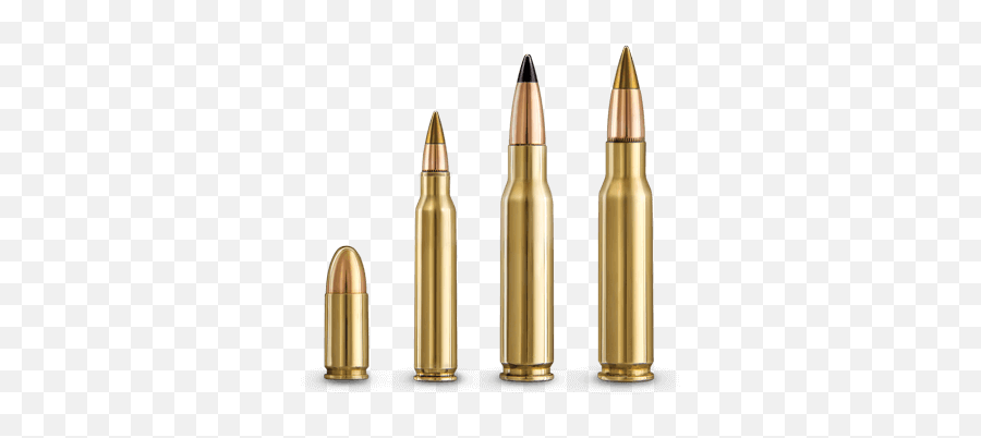 Home Winchester Military - Solid Png,Bullet Shells Png