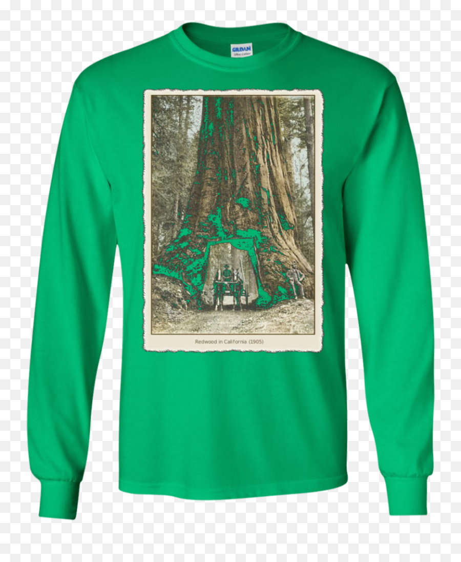 Download Vintage Redwood Forest - Funky T Shirt Png,Redwood Tree Png
