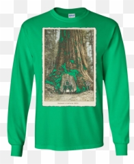 Download Vintage Redwood Forest - Funky T Shirt Png,Redwood Tree Png