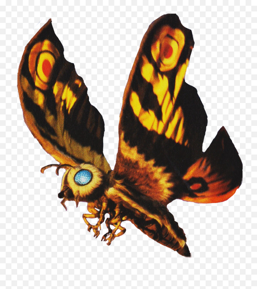 Mothra Full Color Vinyl Decal - Mothra 2003 Png,Mothra Png