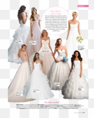 Wedding Veil Png - Floor Length,Wedding Veil Png