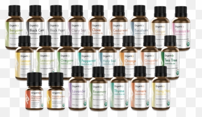 Organic Eucalyptus Essential Oil 15mlepigenetic Labs - Oil Png,Essential Oil Png