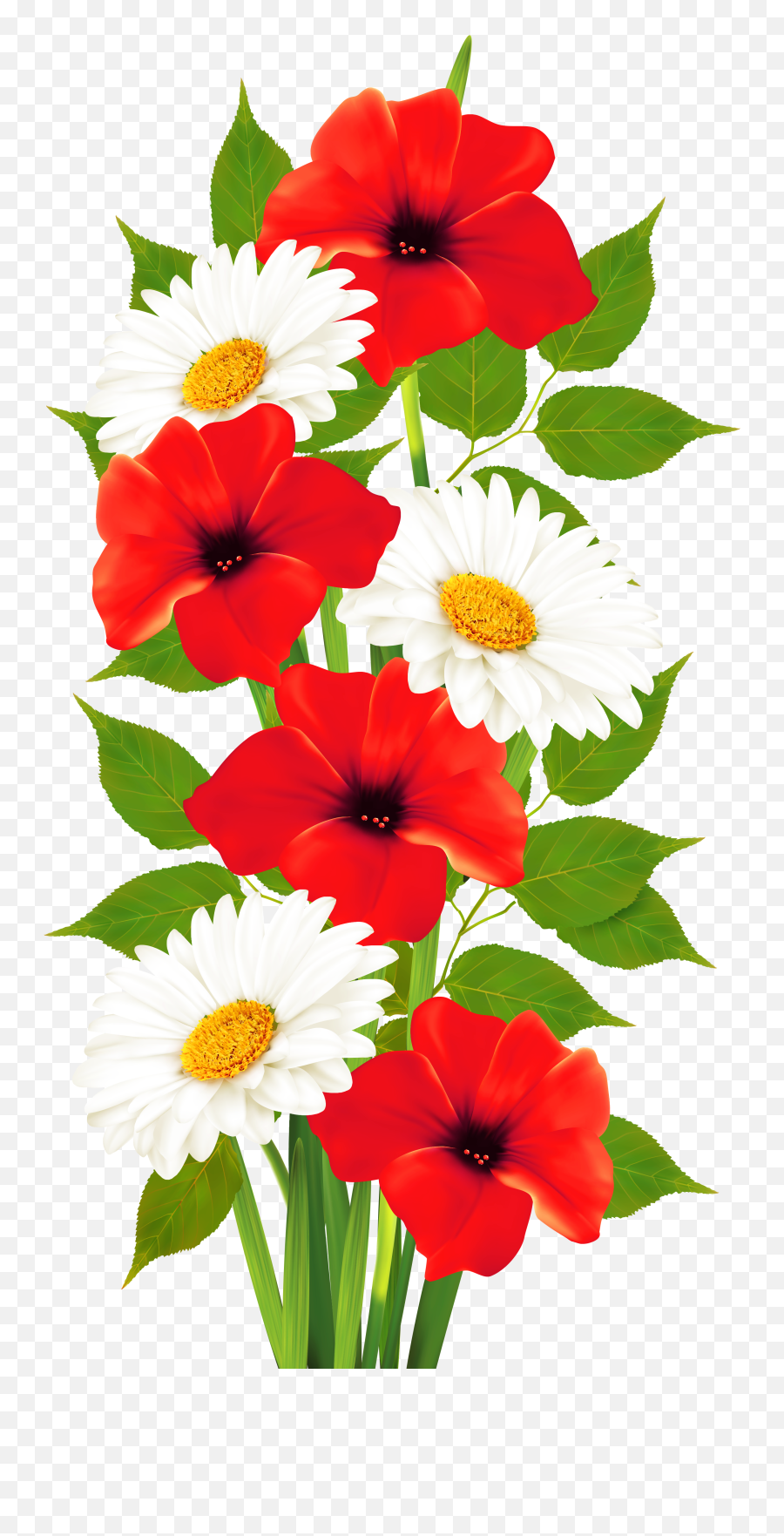 Free Poppy Flower Png Download - Flower Colour Clipart Png,Poppies Png