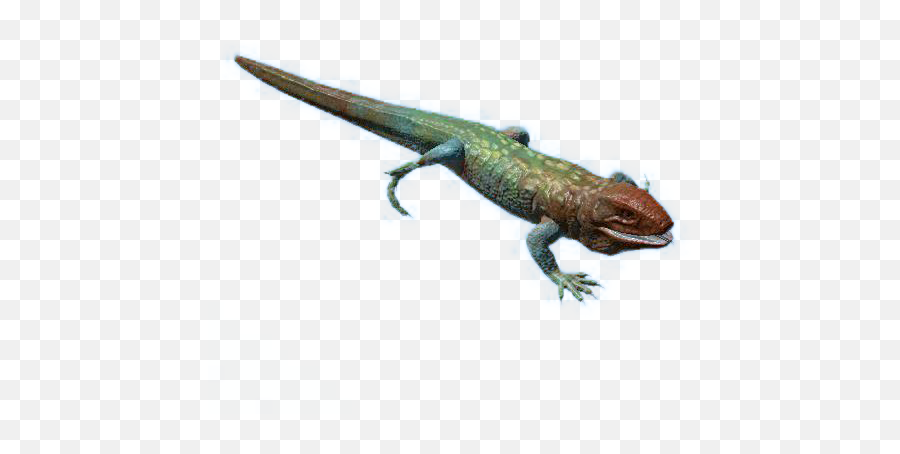 Caiman Lizard - Official Green Hell Wiki Lacerta Png,Lizard Transparent