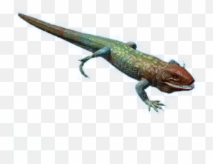 Caiman Lizard - Official Green Hell Wiki Lacerta Png,Lizard Transparent