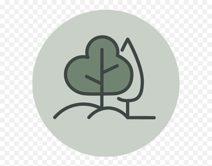 Non Png Acacia Tree Icon