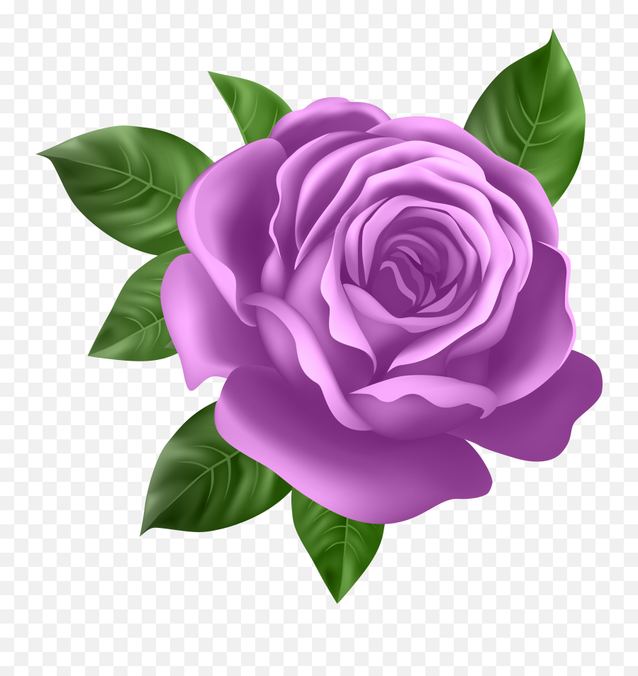 Transparent Png Clip Art Rose Clipart Background