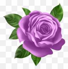 Transparent Png Clip Art