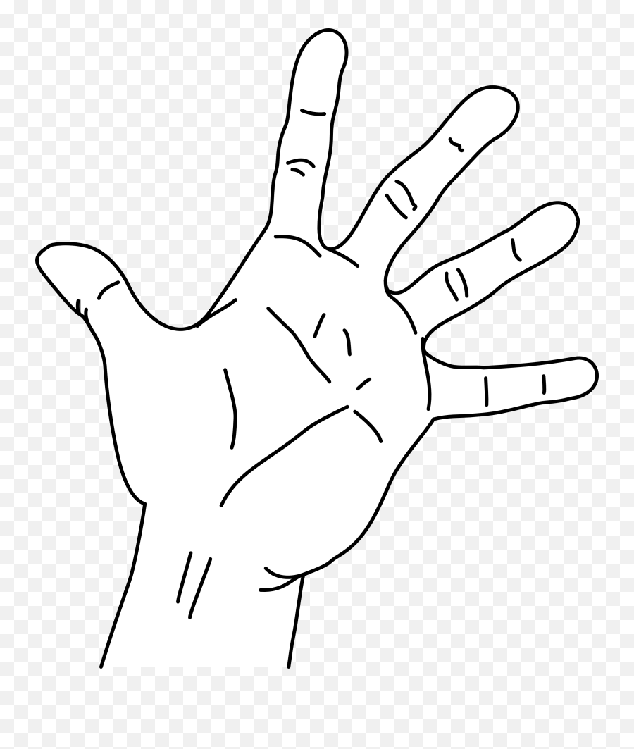 Filemeasurements Of The Hand Without Measurementspng - Hand Span,Hand Drawing Png