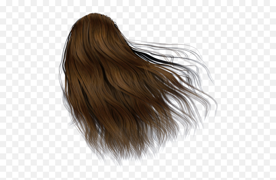 Hair Back Png 6 Image - Women Hair Back Png,Hair Png Transparent