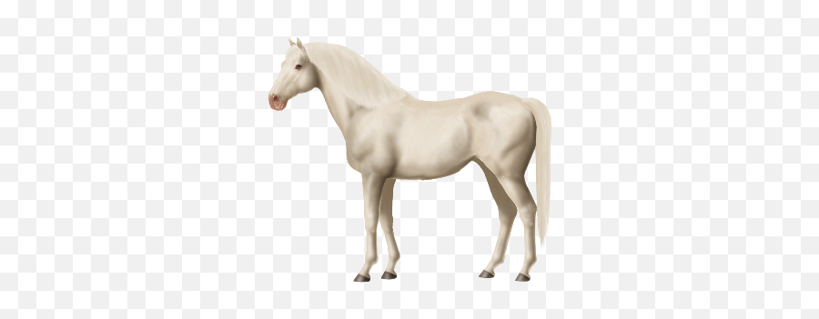 Looking For Dominant White Horses - White Horse Png,White Horse Png