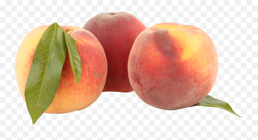 Download Peaches Png Image For Free - Lovely Peaches Png Transparent,Peaches Png
