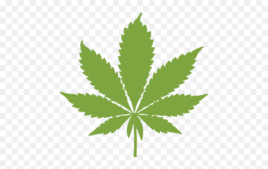 Where To Get Cannabis Oil In Washington Dc - Weed Delivery Marijuana Png,Cannabis Flower Icon