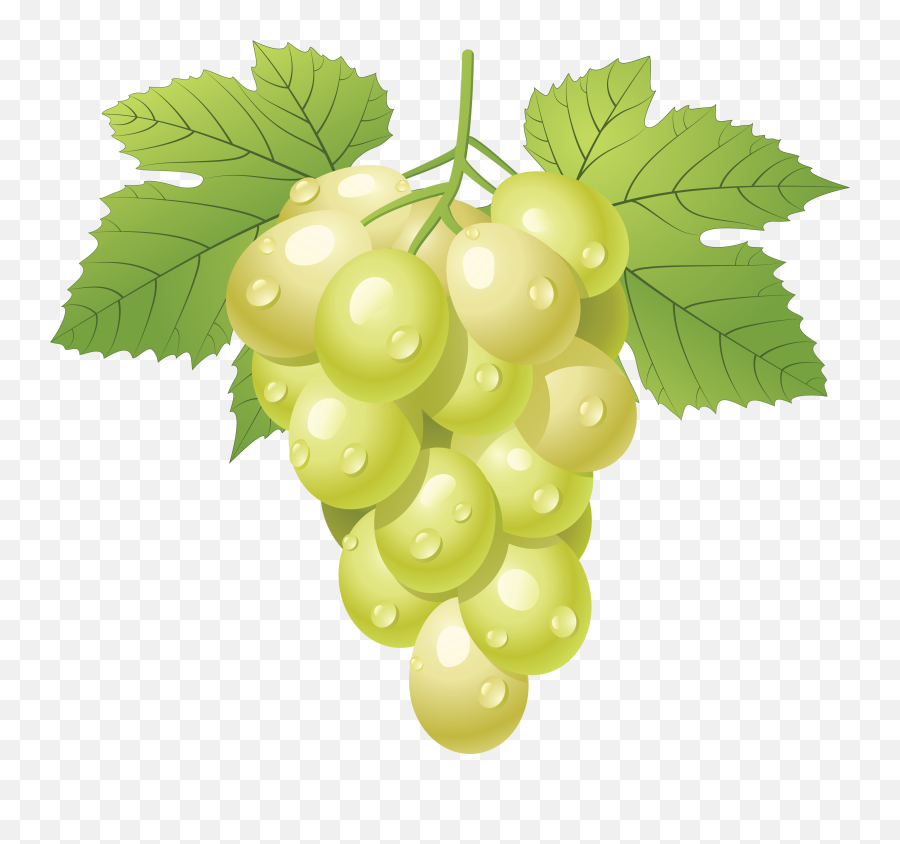 Wine Grapes Png 4 Image - Grapes Png Clipart,Grapes Png
