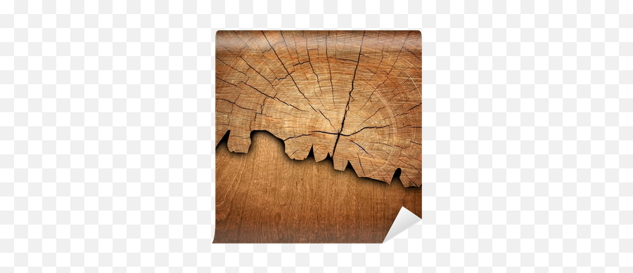 Cracked Wood Board Wall Mural U2022 Pixers - We Live To Change Plywood Png,Wood Board Png