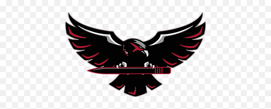 The Blackhawks Team Profile - Play Cricket Black Hawk Logo Png,Blackhawks Logo Png