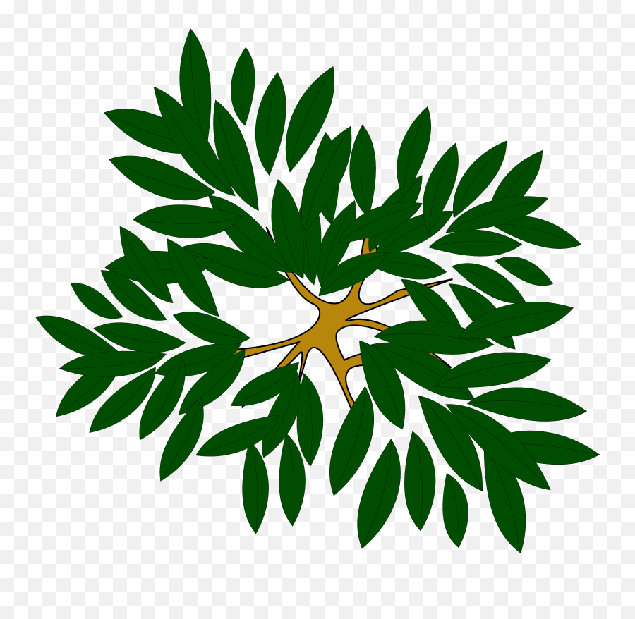 Tree Icon Png - Tree Clump Clipart Icon Png Tree Icon Top Tree Top View Clipart Png,Tree Icon Png