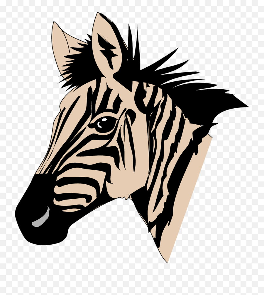 Zebra Head Png Image - Easy Cartoon Zebra Head,Zebra Transparent Background