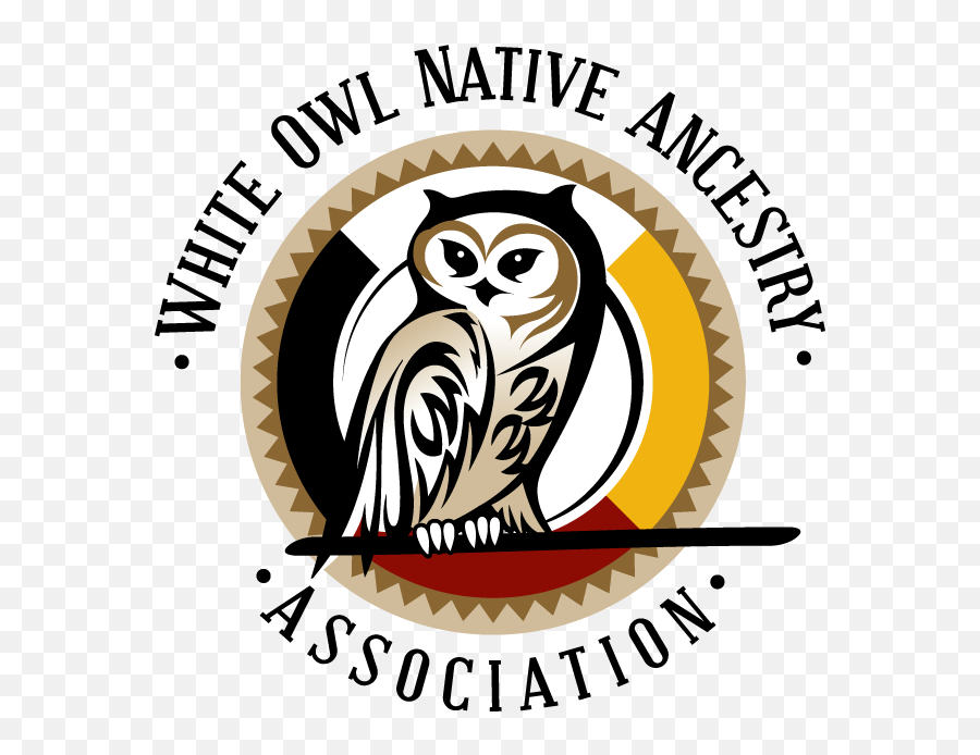 White - White Owl Native Ancestry Association Png,Owl Logo
